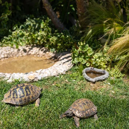 Sunny Garden A2 Διαμέρισμα *