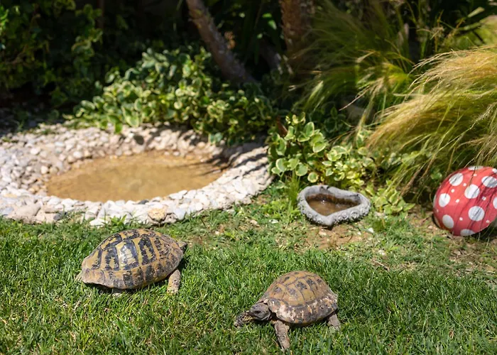 Sunny Garden A2 Апартаменти *